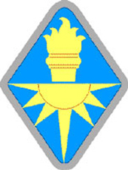 Shoulder Sleeve Insignia