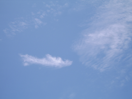 Sylph 12:15pm