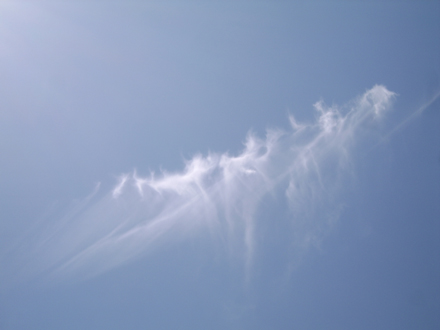 Sylph  12:23pm 