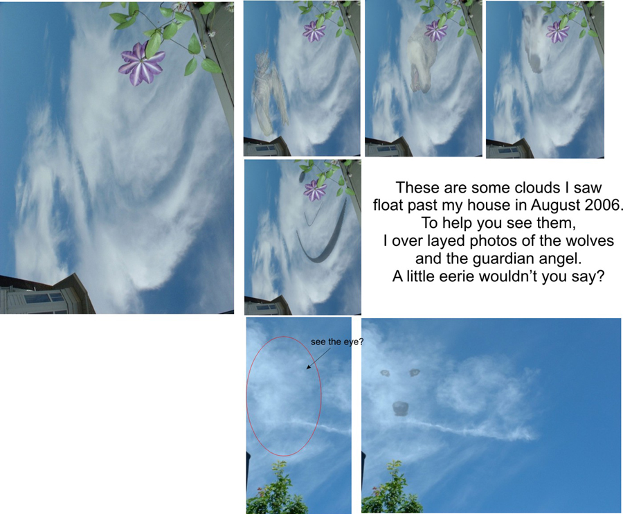 Second montage from Sonja