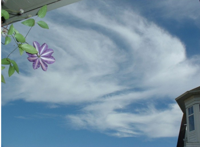 Angel 1 pic horiz orientation