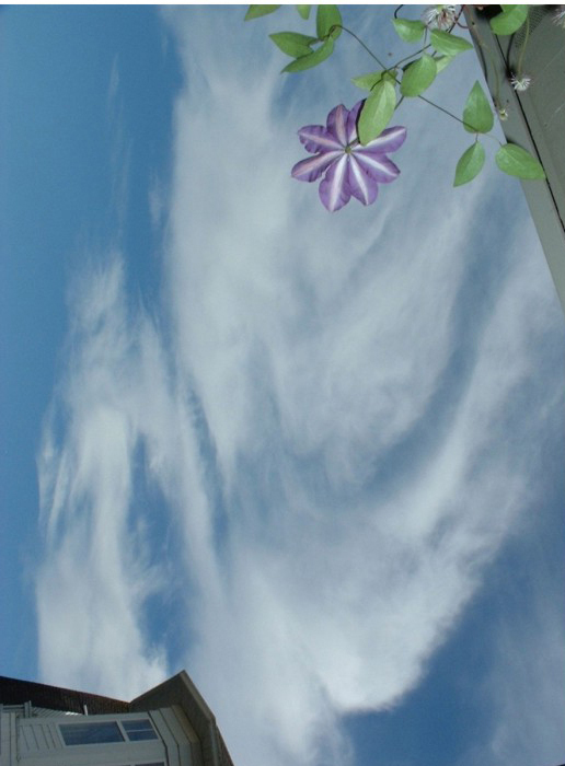 Angel 1 vert orientation