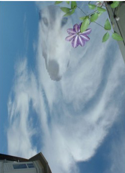 Angel and wolf enhance B