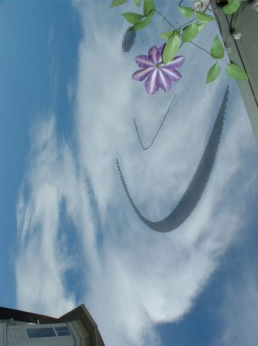 Angel and wold enhance C