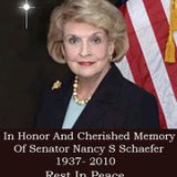 Georgia State Senator, Nancy Schaefer was 'suicided' while exposing CPS.
