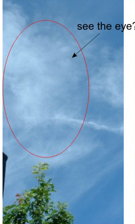 Wolf head B without enhancement