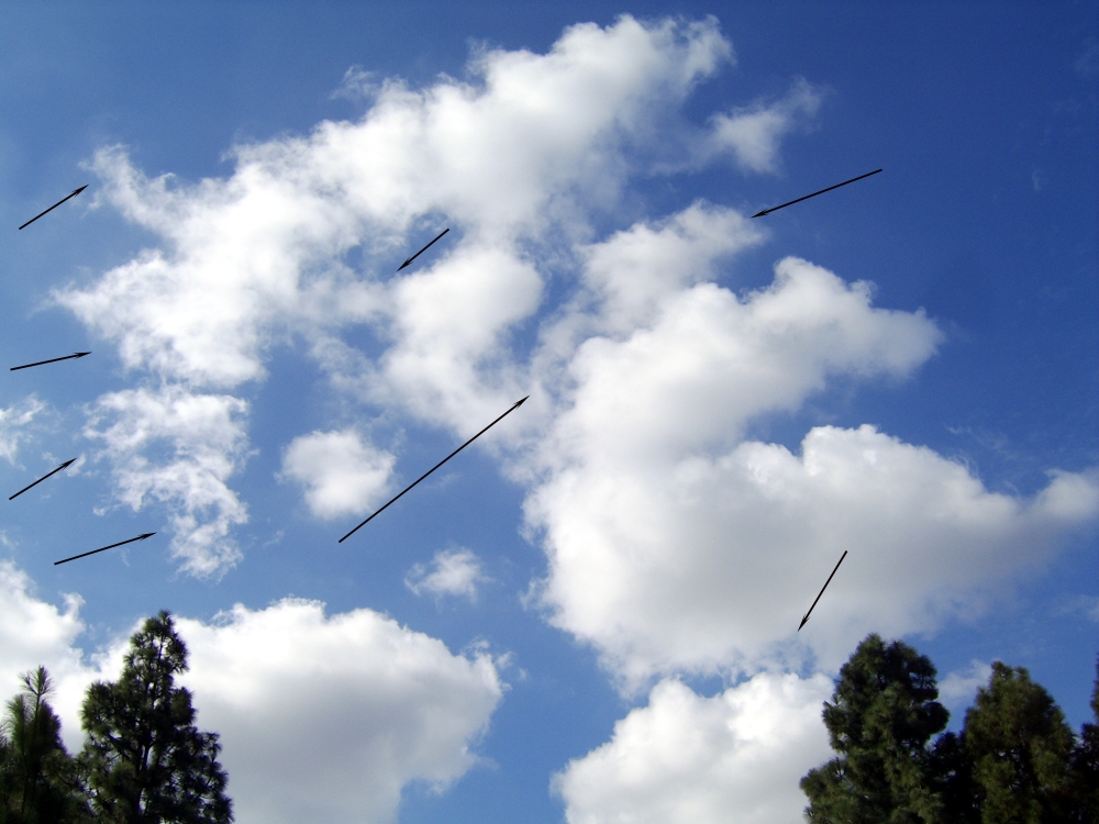 Nov. 21, 2009, view with arrows