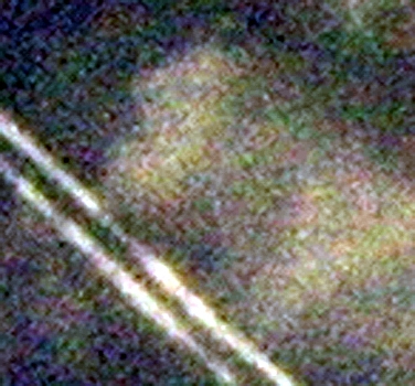 Nov 21 2009 crop enlarged