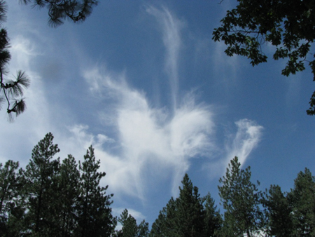 Spokan Wash Sylphs August 24, 2008