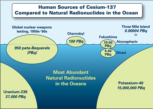 Pacific Ocean Radionuclides graph