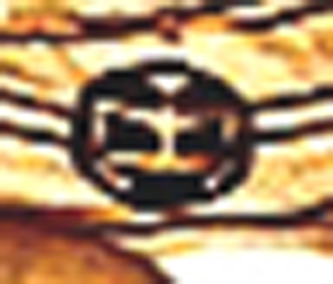 BArry soetoro Medallion in color