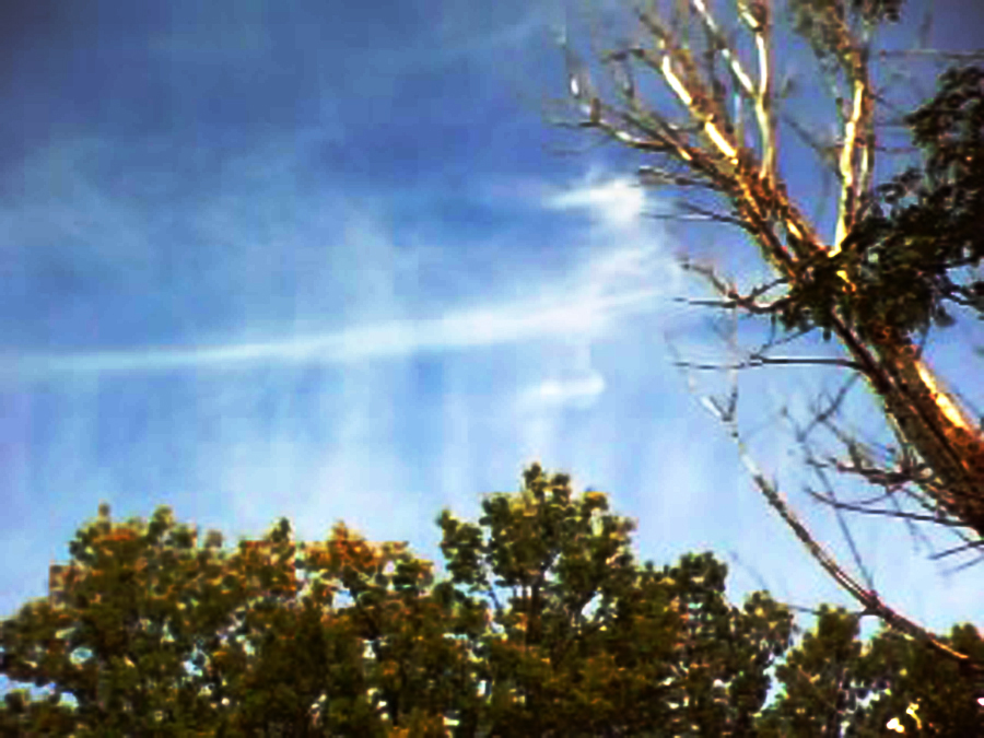 Nebraska Sylph Sep 20 2008